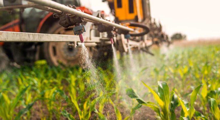 Cultiver sans pesticides