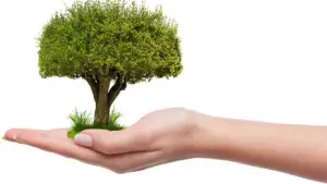 Cultiver en préservant l'eau