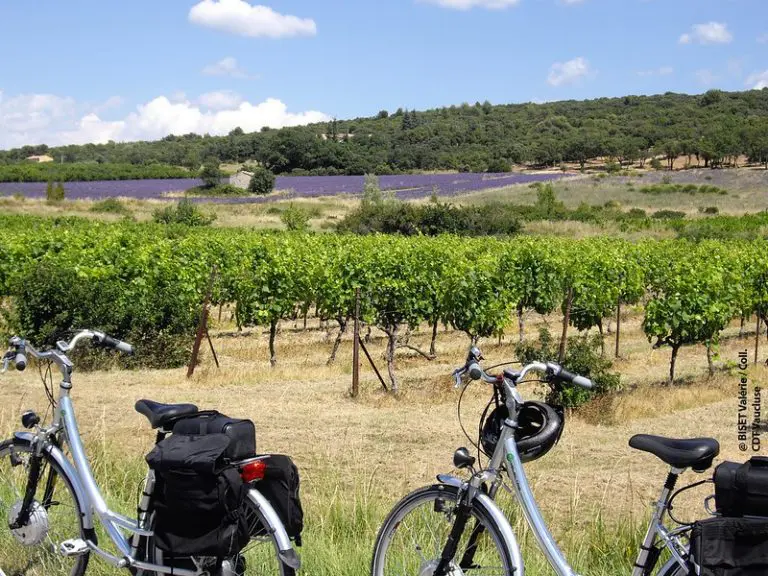 La Provence Verte à vélo
