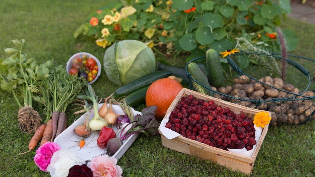 Le Jardinage au Service de la Biodiversité