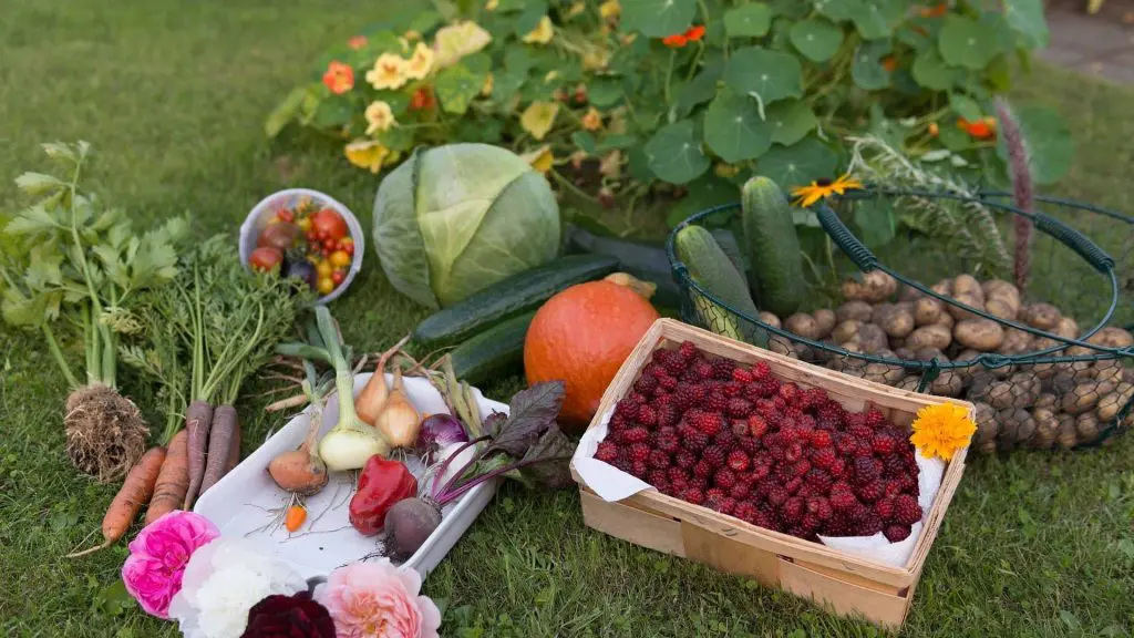 Le Jardinage au Service de la Biodiversité