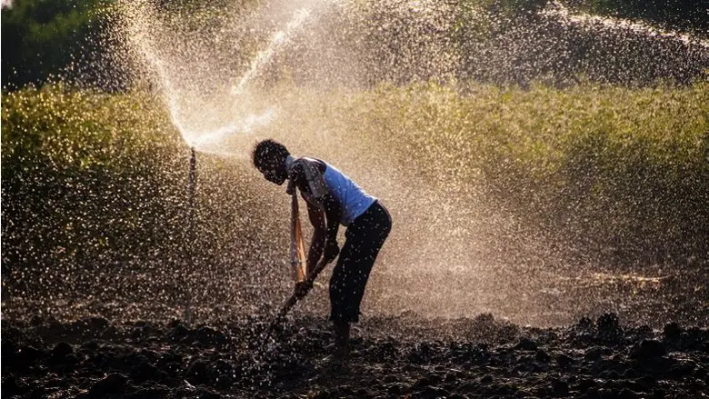 Disponibilité de l'eau douce