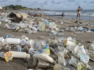 Pollution Plastique
