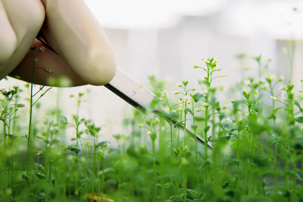 Transition agricole durable