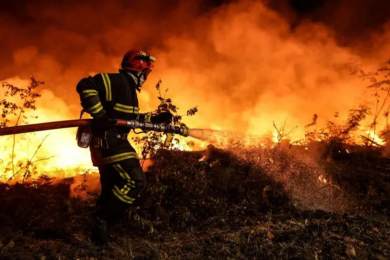 Prévention des Feux de Forêt