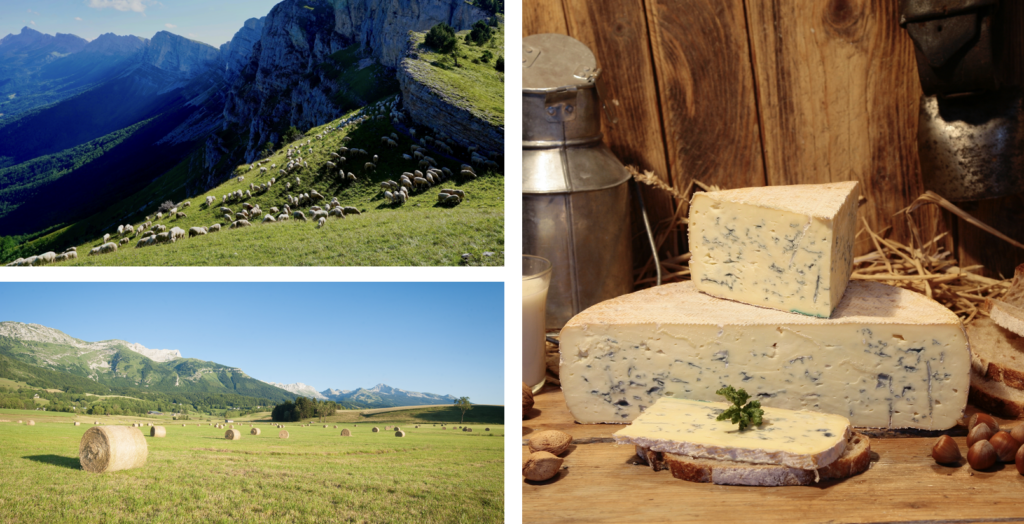 L'Été dans le Vercors
