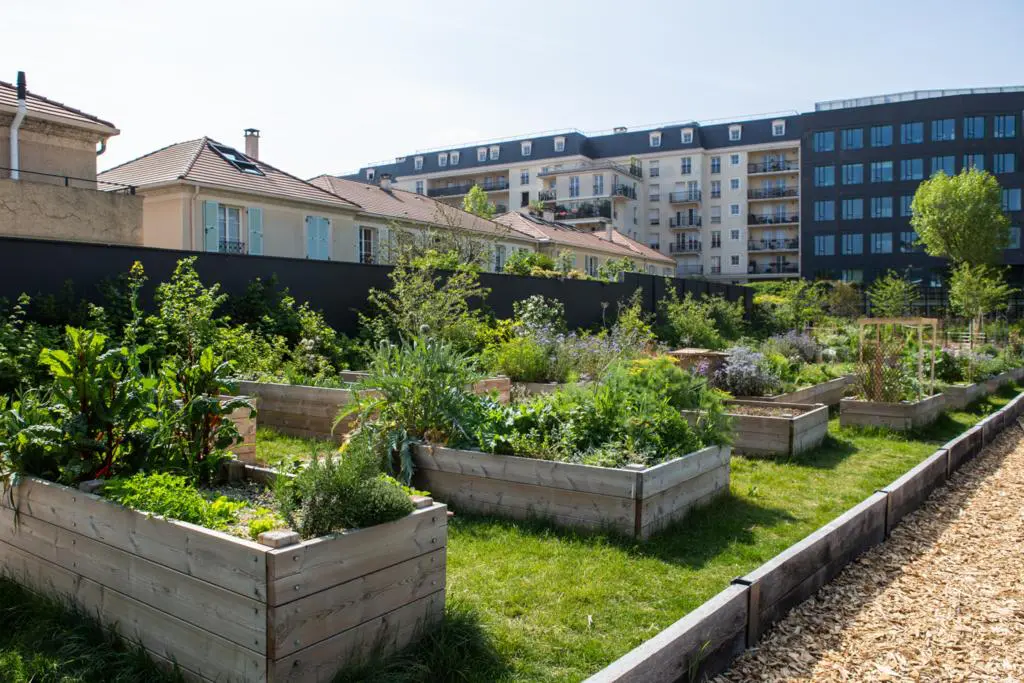 Montrouge face aux défis climatiques