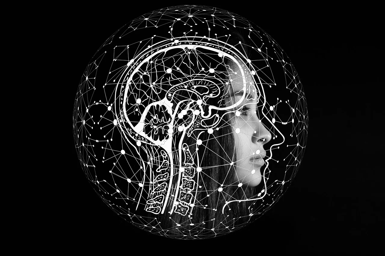 Artificial intelligence and culture: creators want clearer rules