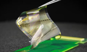Capteurs flexible et implantable