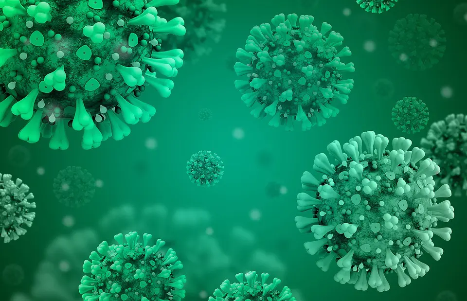 hantavirus MV Hondius
