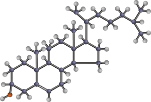Un Traitement contre le Cholestérol