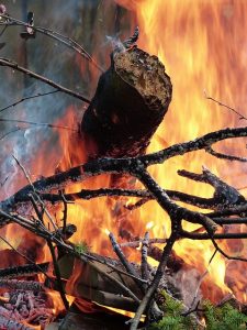 incendies de forêt