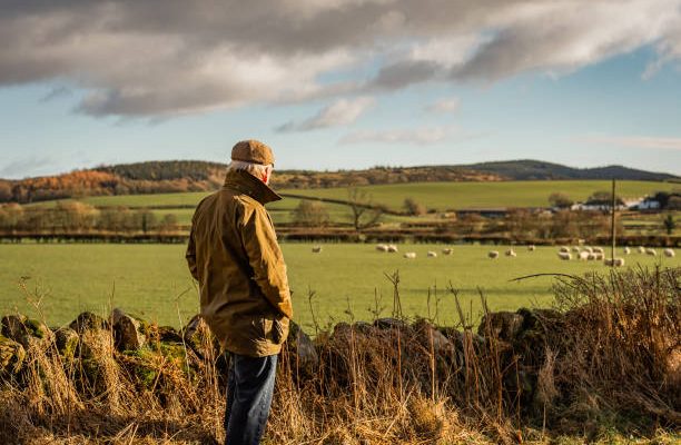 Réforme des retraites agricoles