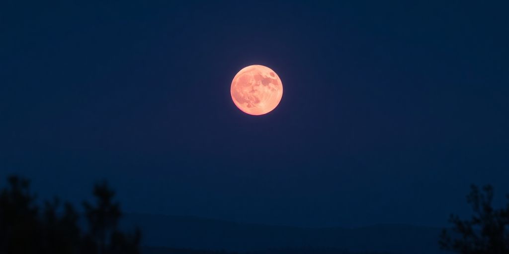 Pleine Lune rose sur un paysage nocturne apaisant.