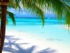 Plage de Marie-Galante avec eau turquoise et palmiers.