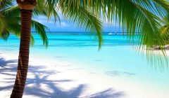 Plage de Marie-Galante avec eau turquoise et palmiers.