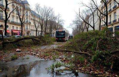 Dégâts orages Paris: arbres, rues inondées