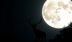 Pleine lune brillante avec un cerf au premier plan.