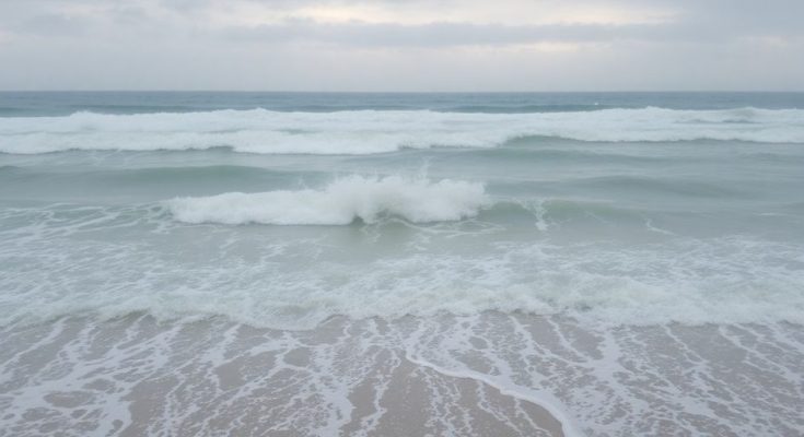 Vague puissante frappant une plage désertée par la houle.