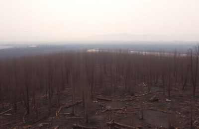 Montagnes ravagées par les flammes dans les Corbières.