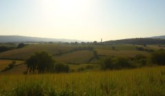 Soleil éclatant sur un paysage du sud de la France.