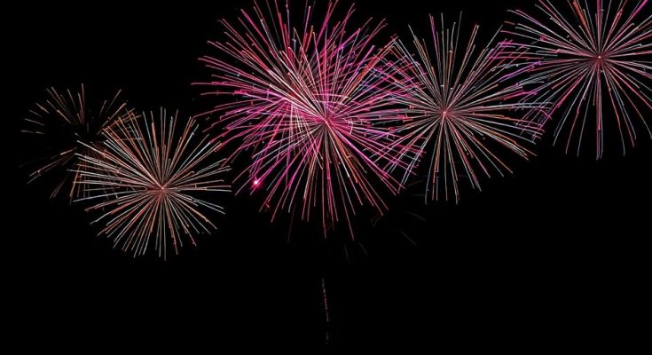 Feux d'artifice éclatants illuminant un ciel nocturne sombre.