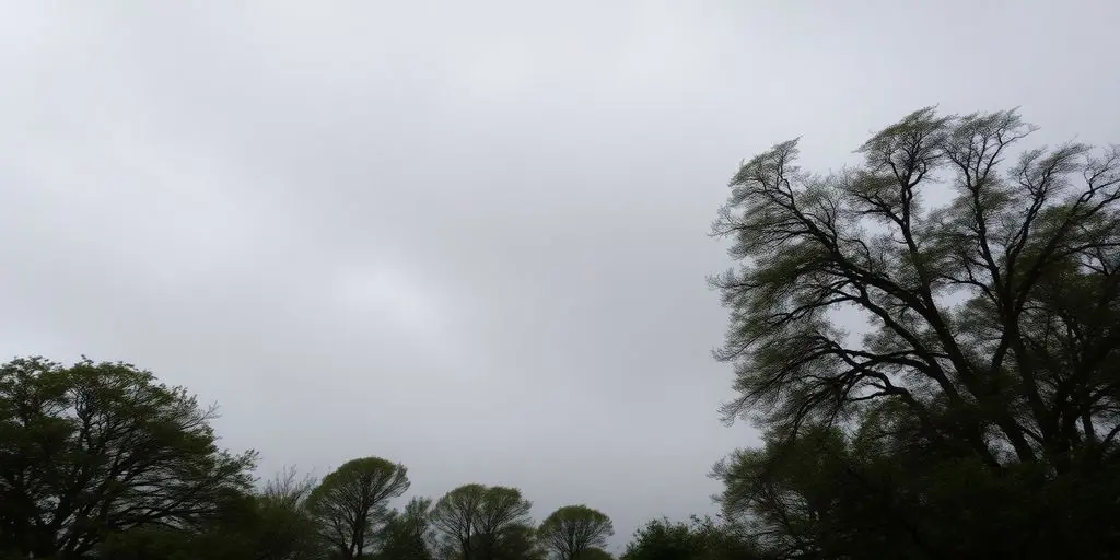 Ciel gris et arbres agités par le vent.