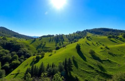 Paysage naturel verdoyant et paisible.