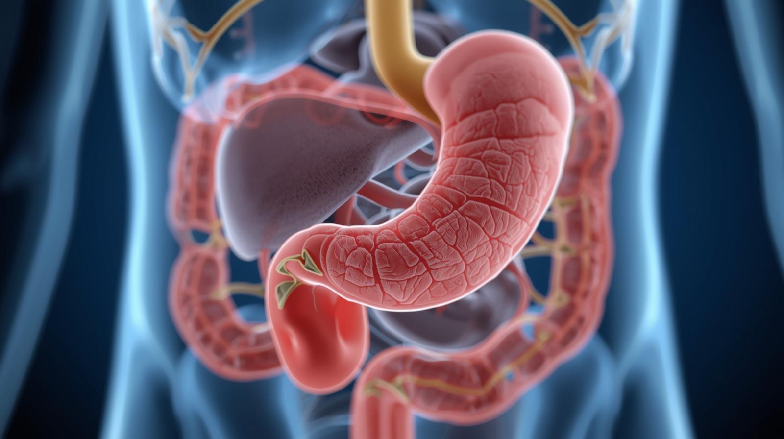 Cancer du pancréas : un microbiome buccal particulier accroît fortement le risque