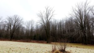 Légèrement frais et neigeux: quelle météo pour ce deuxième week-end des vacances de la Toussaint?
