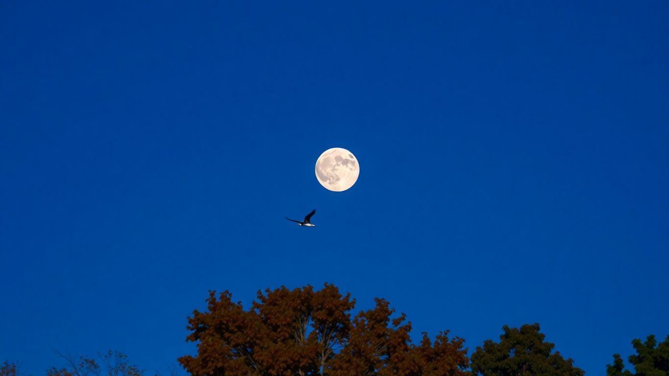 Trois super lunes brillent dans le ciel d'automne