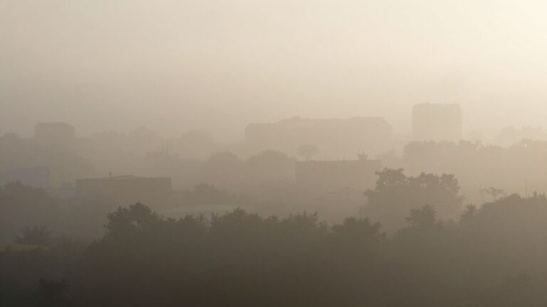 TER : les régions veulent sortir du brouillard