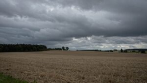 Trois adolescents et un adulte disparus dans l'Aisne : aucune piste écartée par les enquêteurs