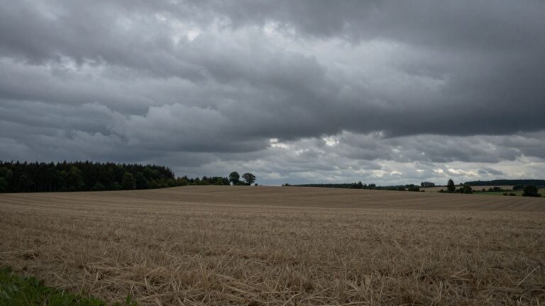Trois adolescents et un adulte disparus dans l&rsquo;Aisne : aucune piste écartée par les enquêteurs