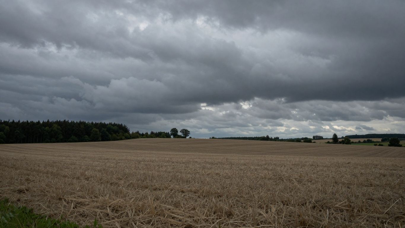 Paysage rural dans l'Aisne avec ciel couvert et forêt.