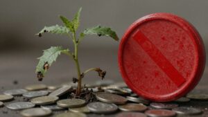 Budget 2026 : le coup de rabot sur l’écologie est amorcé