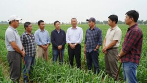 Crise agricole : les élus locaux au chevet de la filière