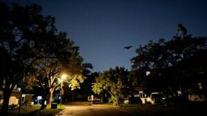 Montpellier : réduire l’éclairage, c’est bon pour la faune… et la facture