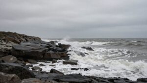 Ce que l'on sait de la mort d'une femme qui a contracté une méningite à méningocoque à La Hague, dans La Manche