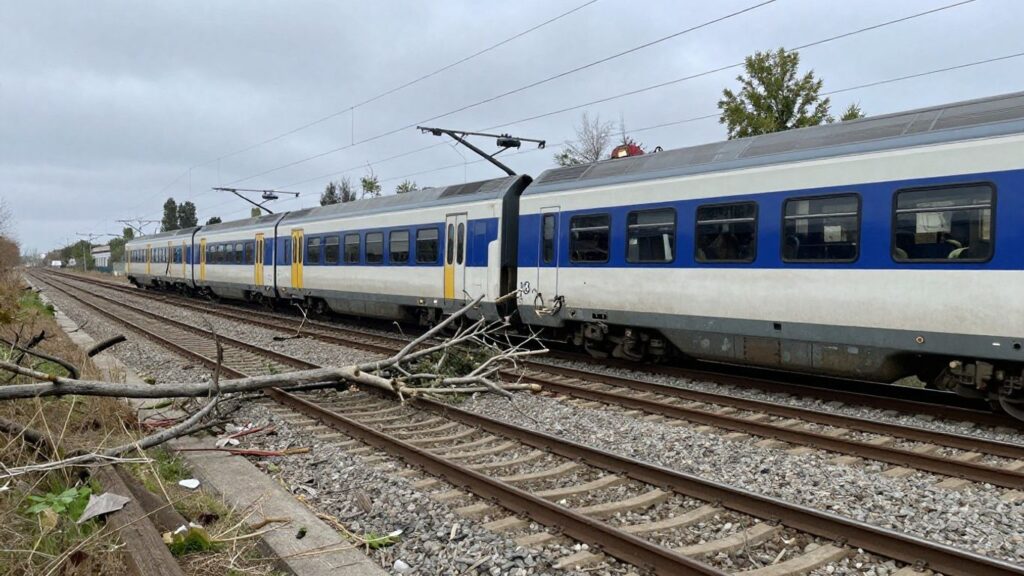 Train heurtant des branches sur la ligne Paris-Normandie