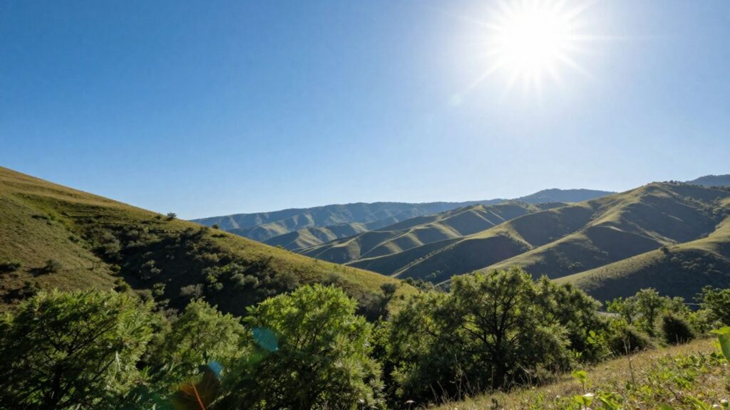 Ciel ensoleillé avec des arbres verts et des collines.