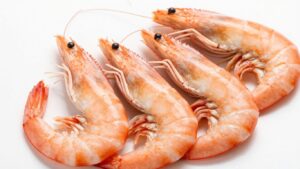 Des gambas contaminées par une bactérie "mangeuse de chair": des lots vendus chez E.Leclerc rappelés dans toute la France
