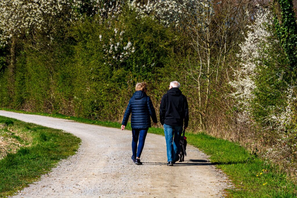 Pension de réversion