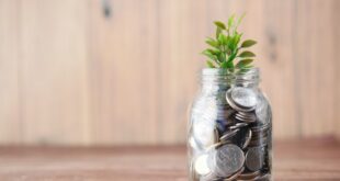 Pièces et plante symbolisant une épargne liée à la transition écologique