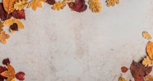 Feuilles d'automne, ce qui change au 1er novembre 2026