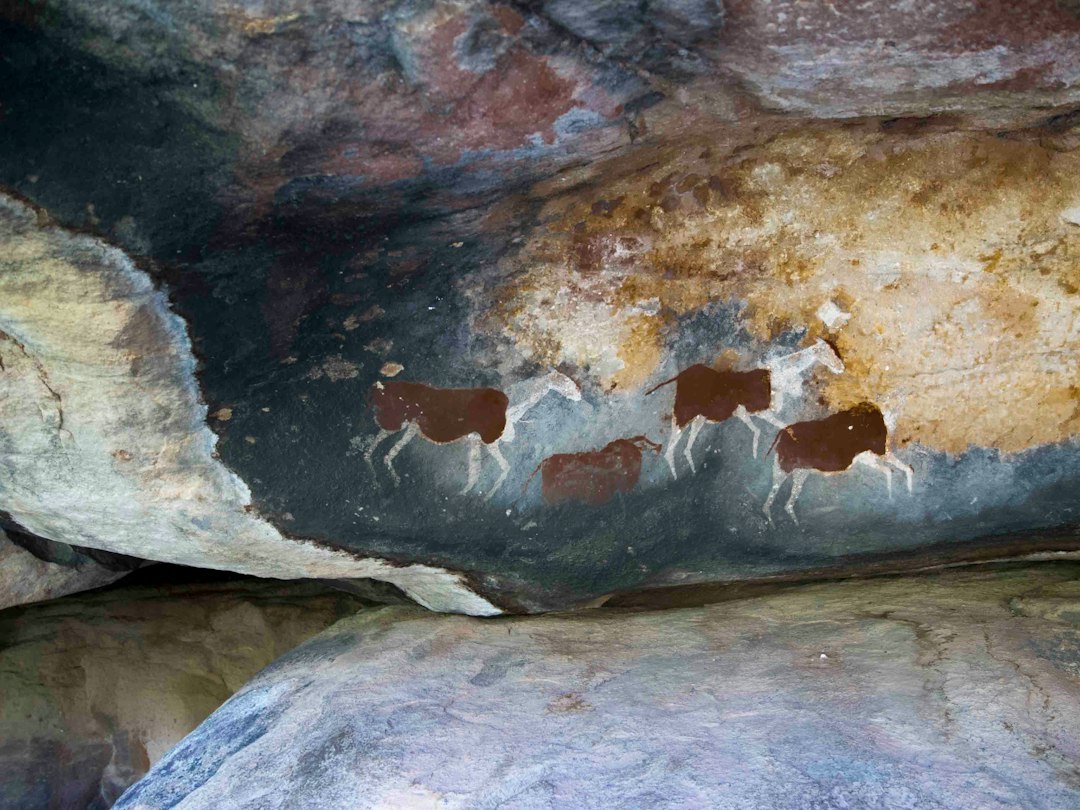 Figures d'art rupestre, thème central de la visite de Lascaux IV