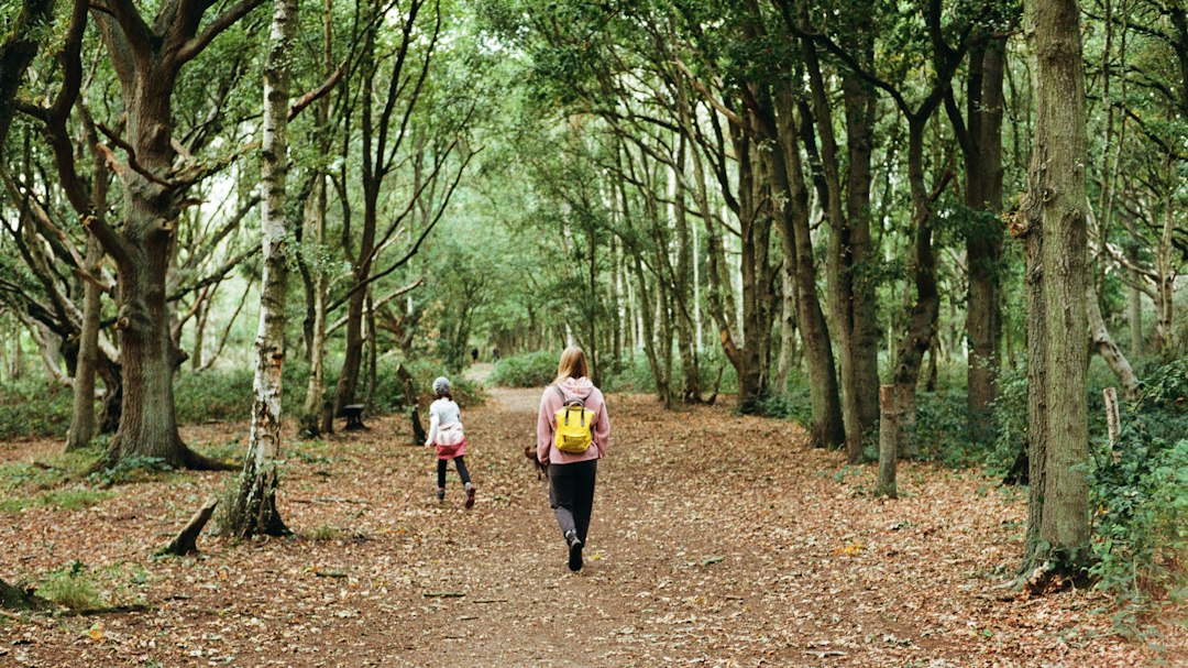Chemin forestier couvert de feuilles pendant les vacances d'automne