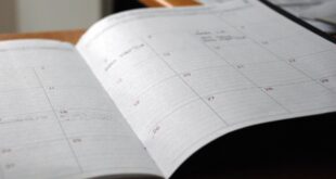 Calendrier mensuel, congés payés et arrêt maladie