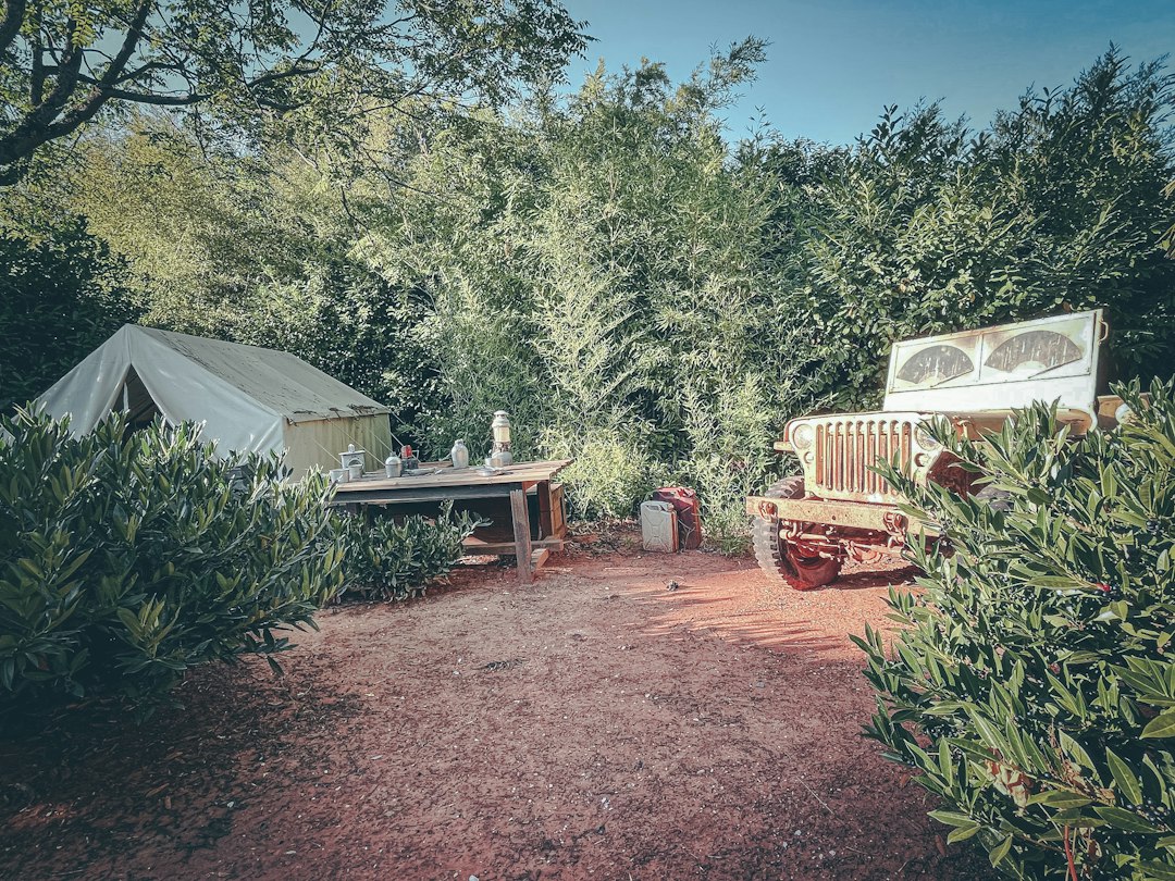 Caravane dans un jardin ombragé, symbole du tourisme de plein air