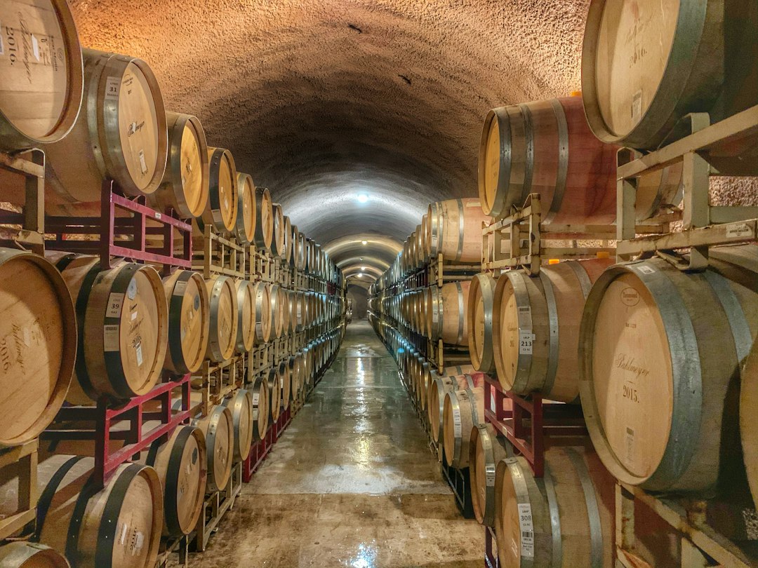 Cave voûtée où vieillissent des vins